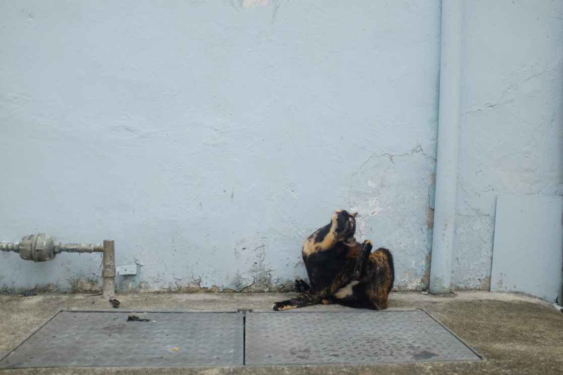 Matthieu Perret - Photographe "Streets of Singapore" 07