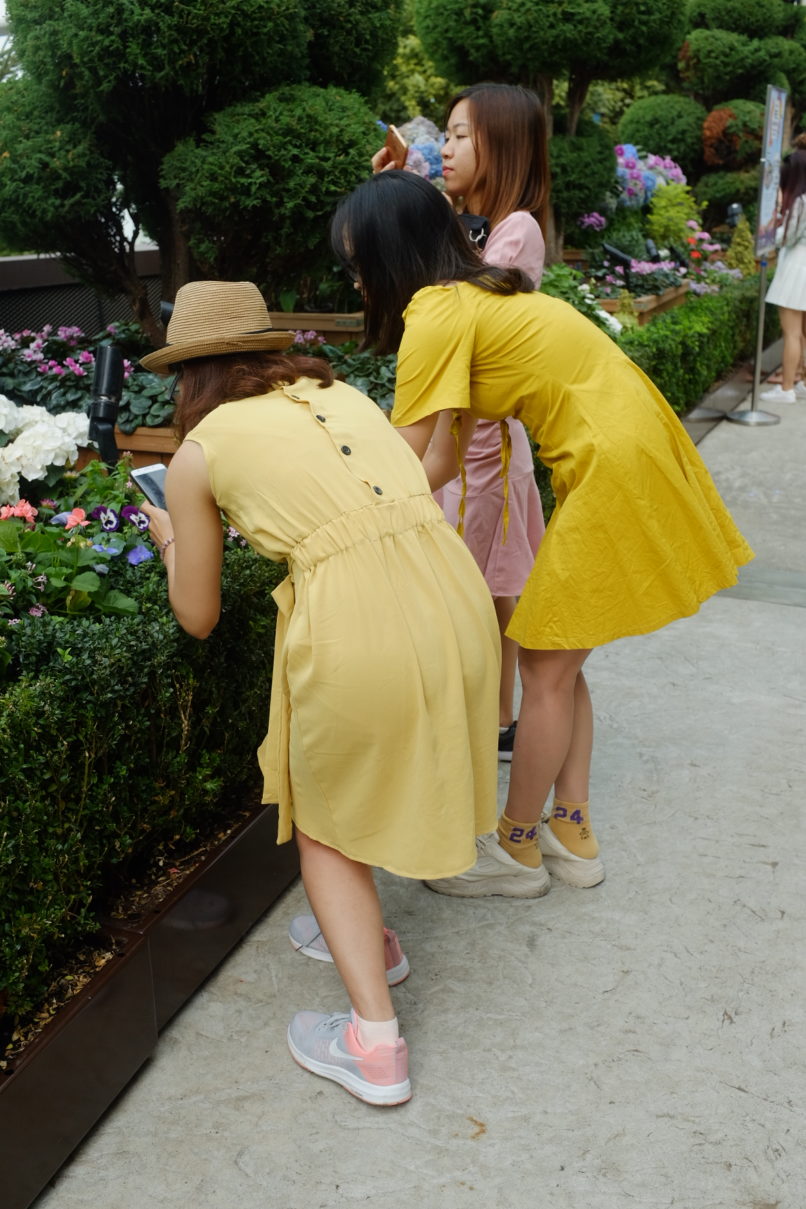 Matthieu Perret - Photographe "Streets of Singapore" 14