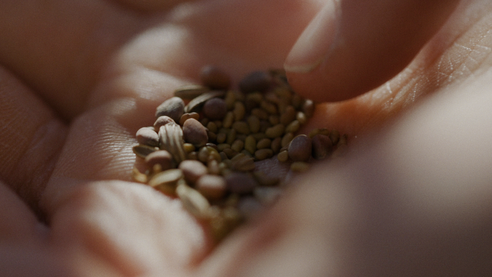 Matthieu Perret - Lyon 7 - 01