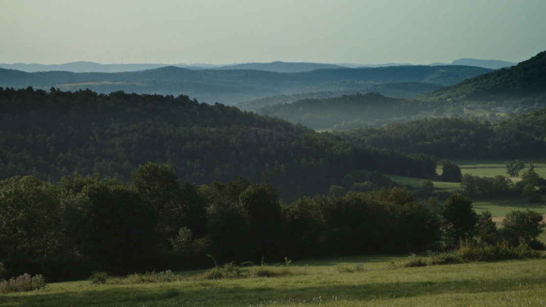 Delphine Perret — © Matthieu Perret